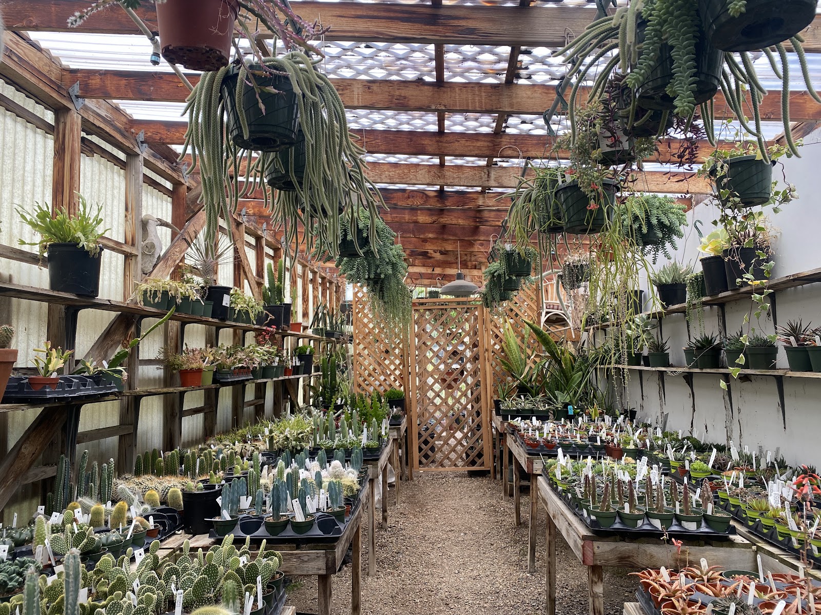 Dry Garden Nursery