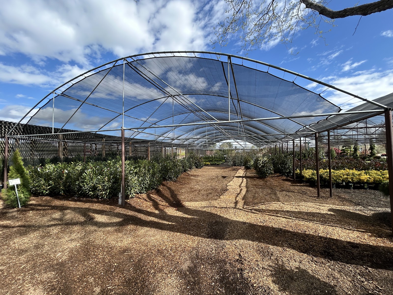 Du-Rite Nursery Inc