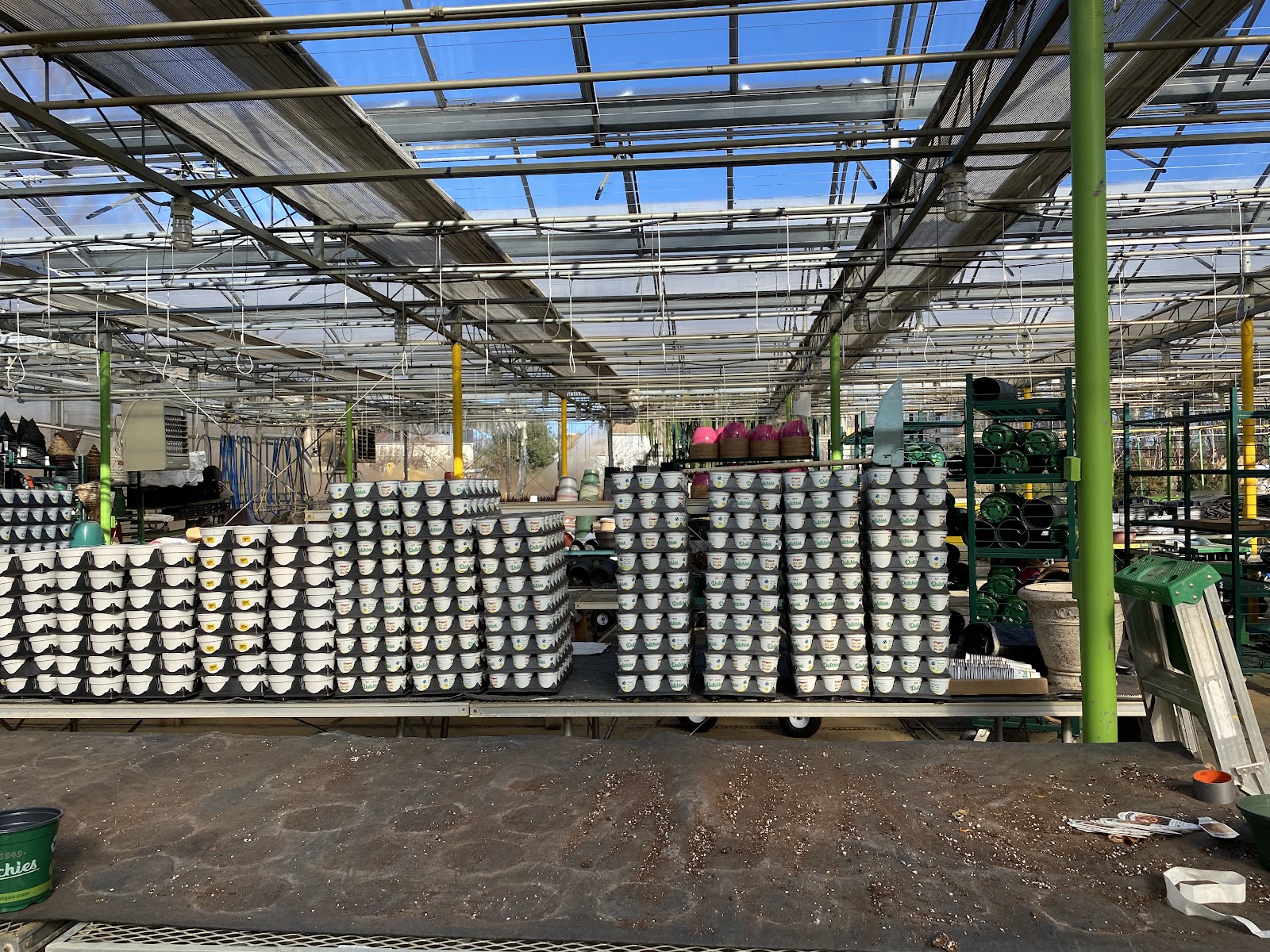Dutch & Olga's Greenhouse