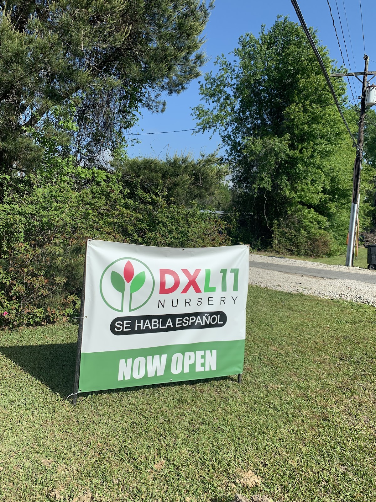 DXL11 NURSERY