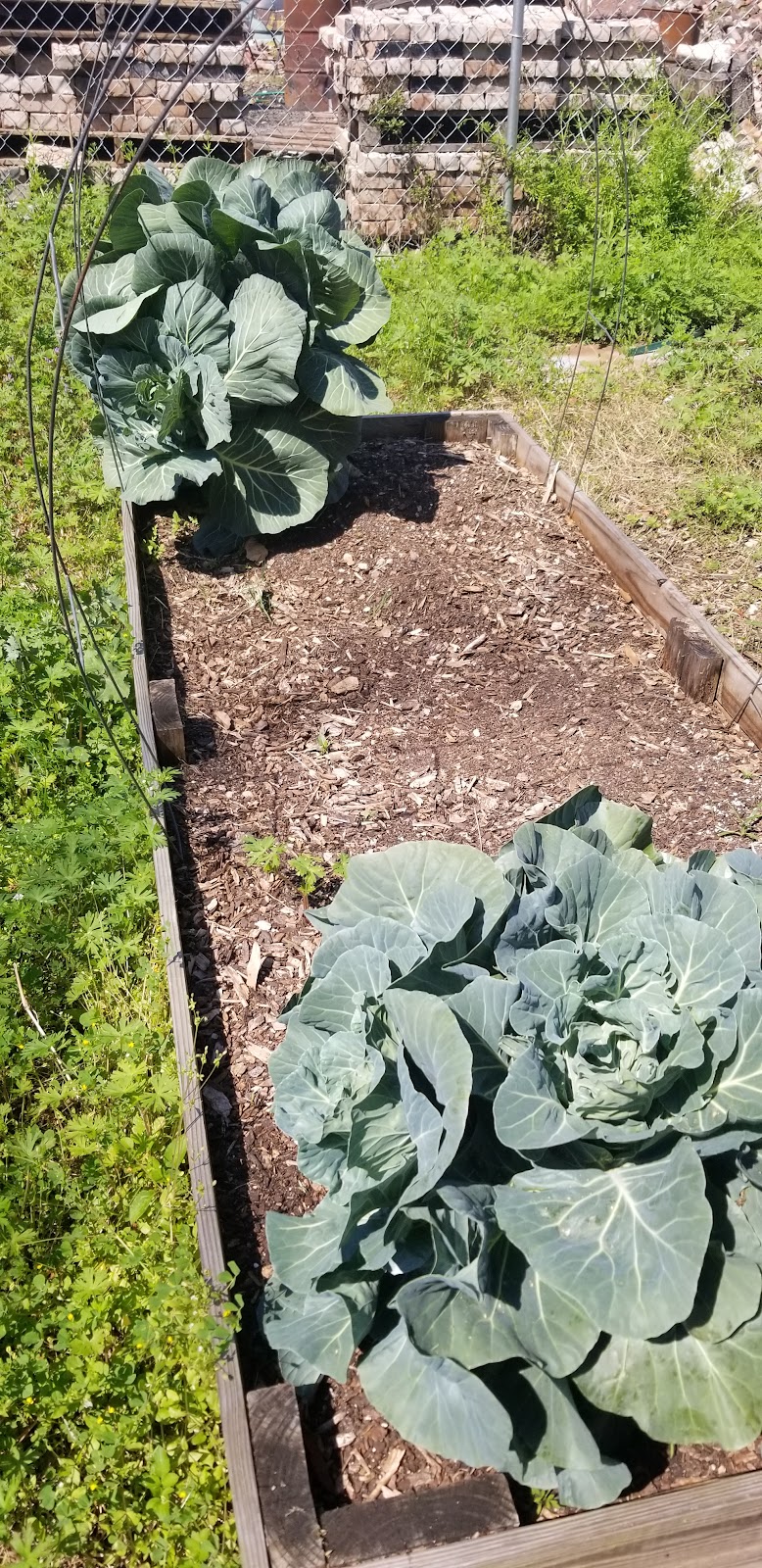 E 34th Greenhouse