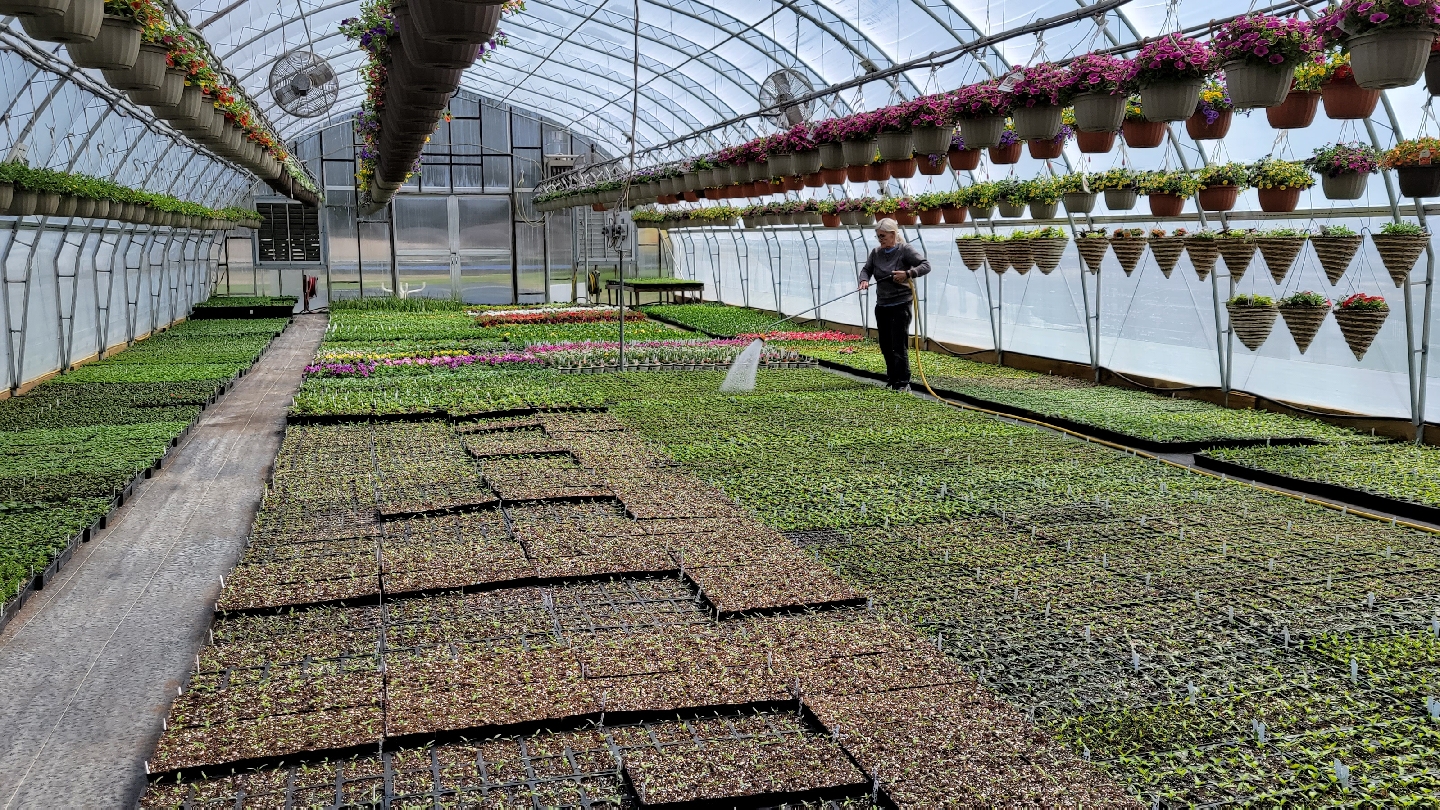 Eagle Point Farm Market and Greenhouses