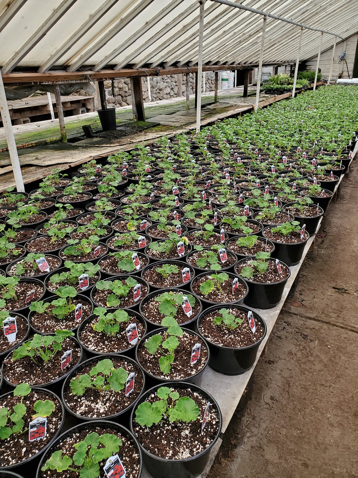 East Side Greenhouses