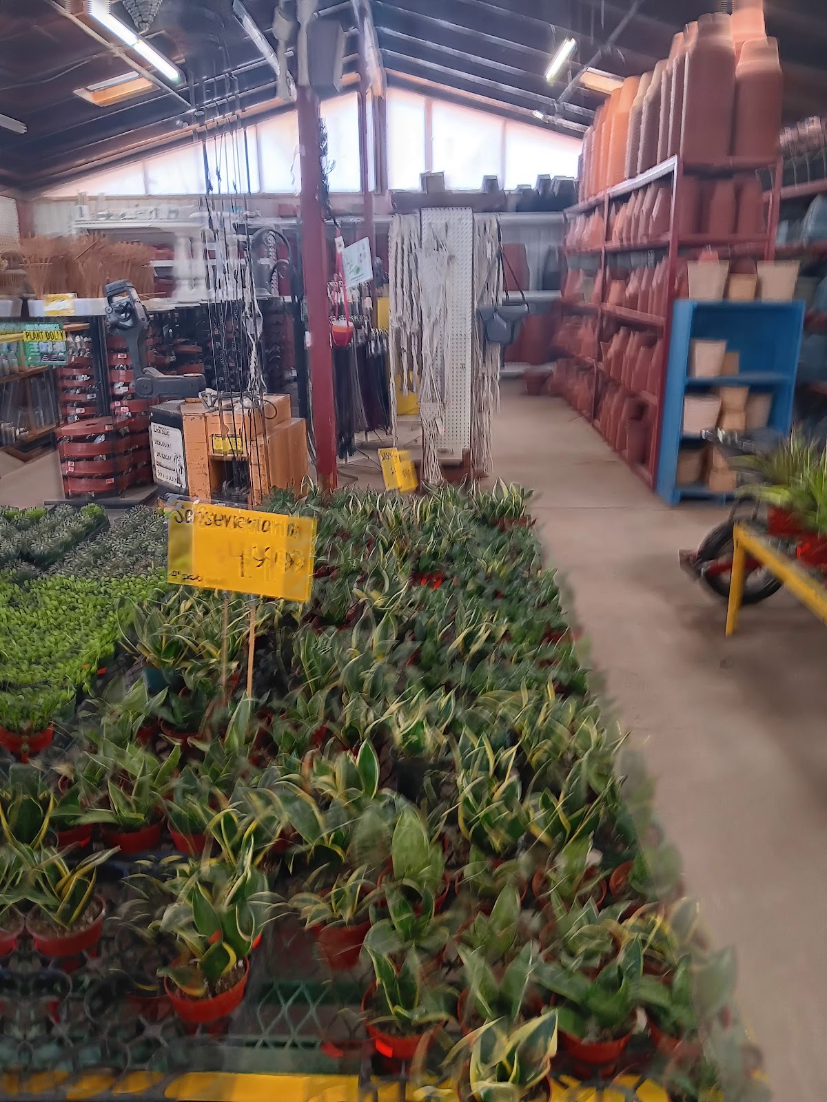 Eastside Discount Nursery