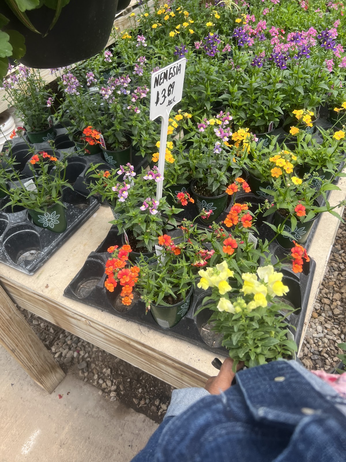 Eastside Green House