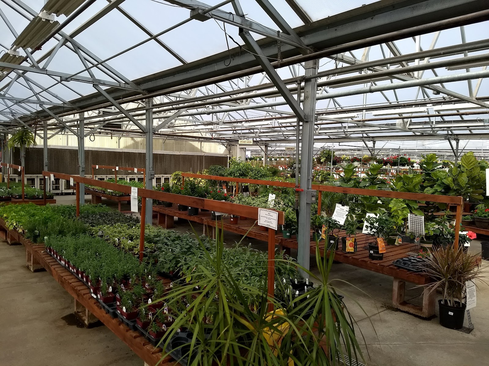 Echter's Nursery & Garden Center