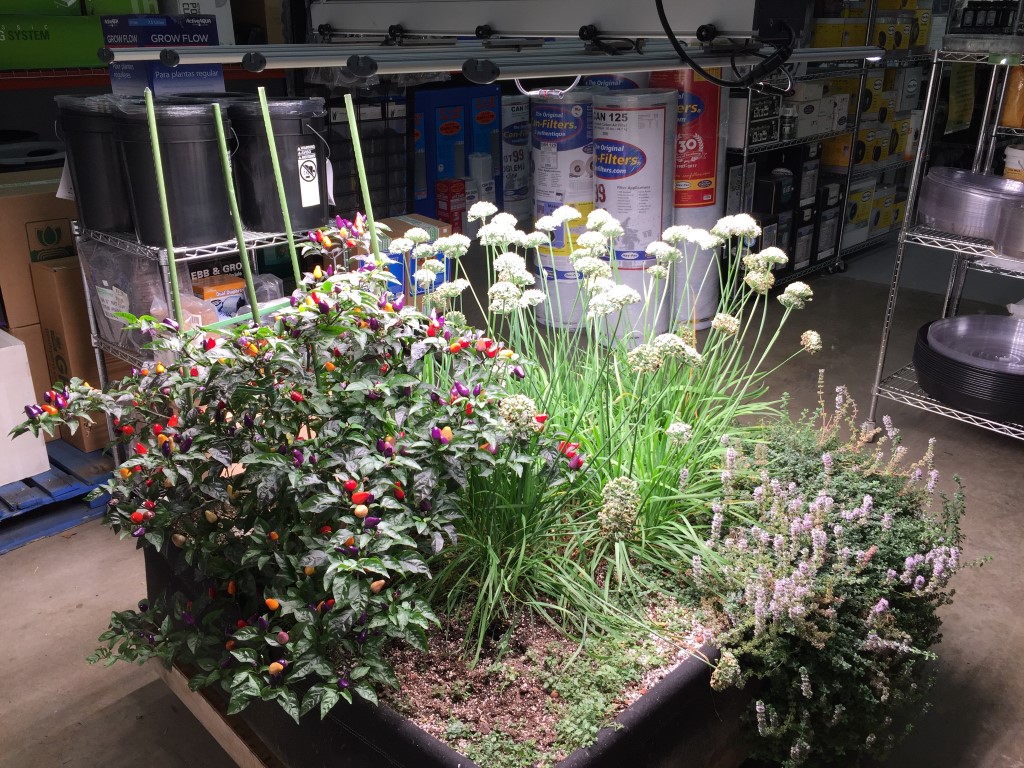 EcoGarden Supply
