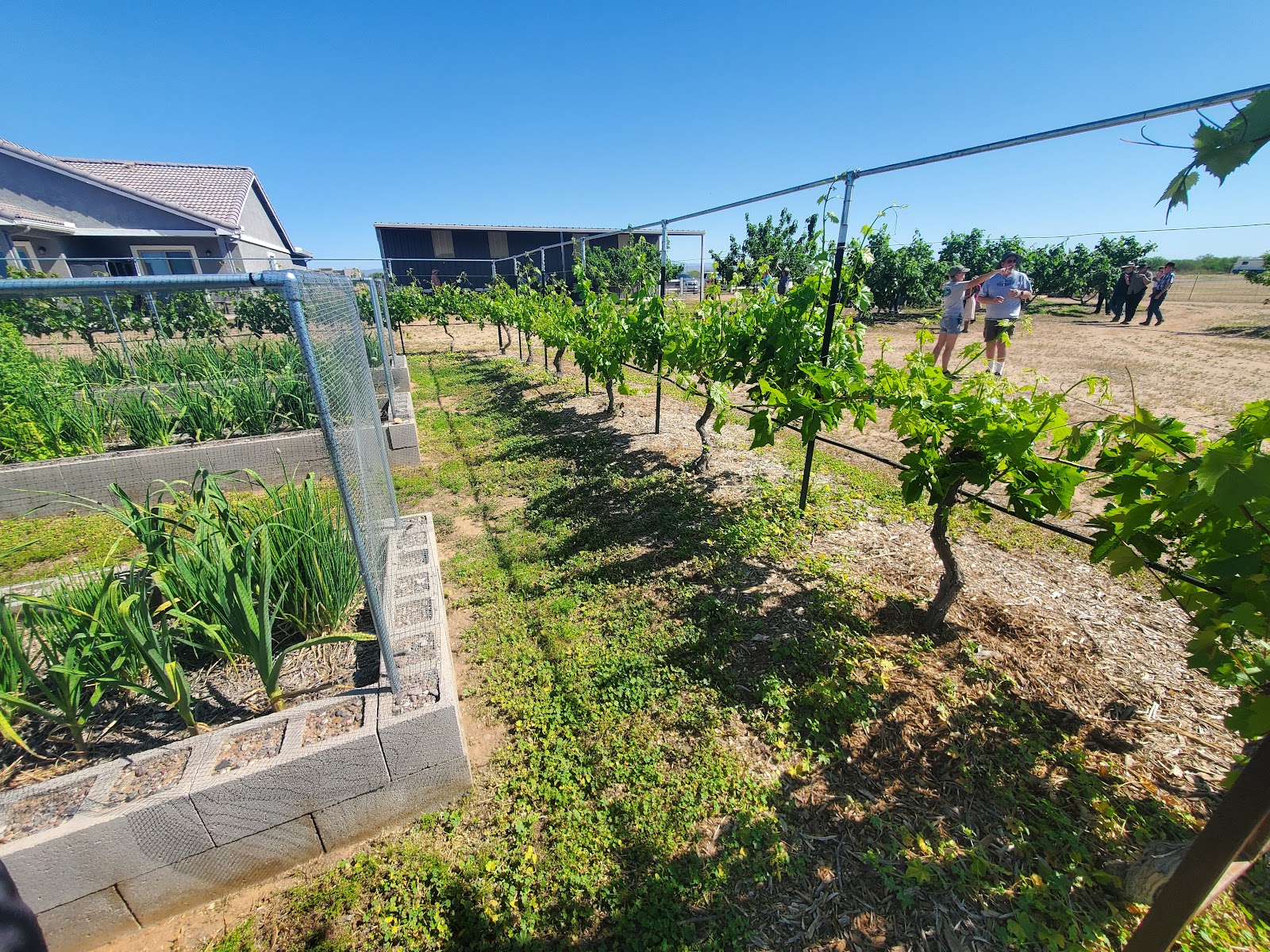 Edge of Nowhere Farm, LLC