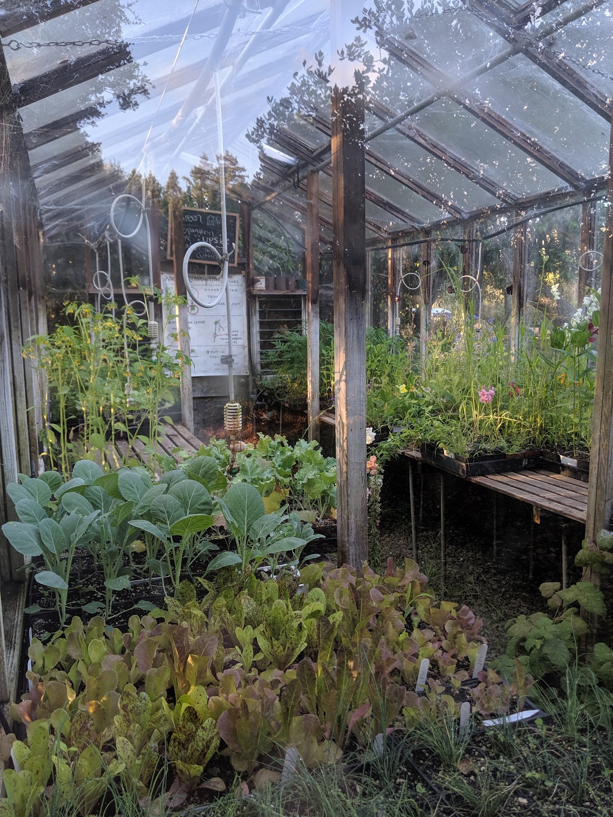 Edible Schoolyard Berkeley