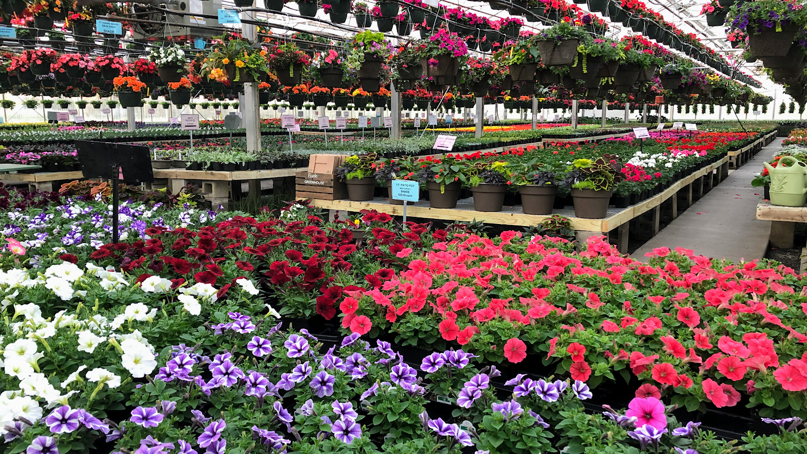 Eisele Greenhouse Inc