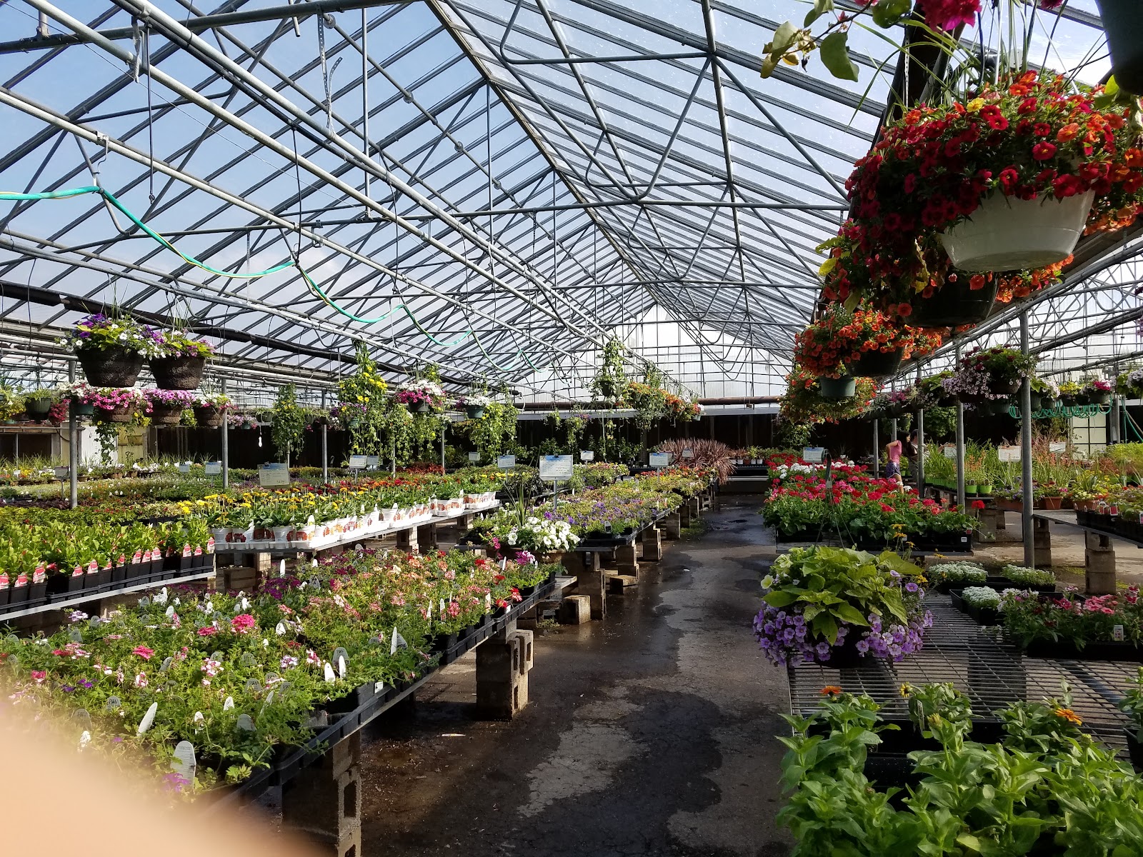 Elliott Gardens