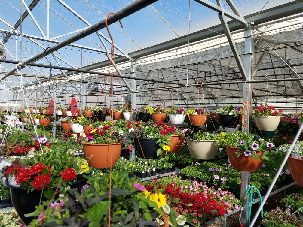 Elm Ave Greenhouse