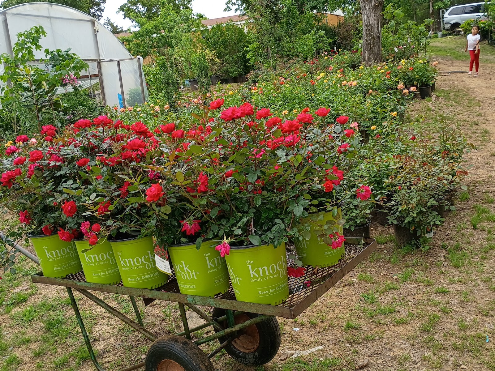 Esmeralda Greenhouse