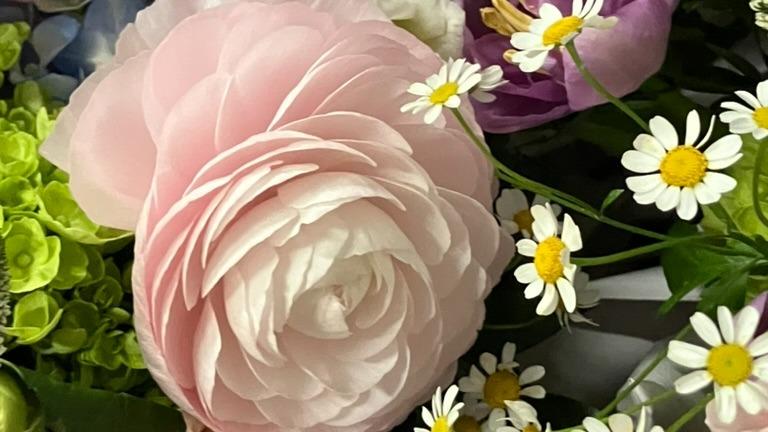 Evans Flowers & Greenhouse