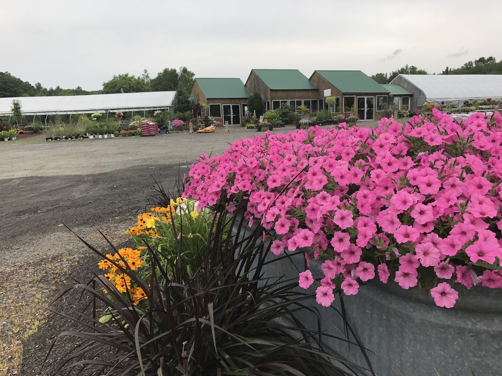 Everlast Nursery