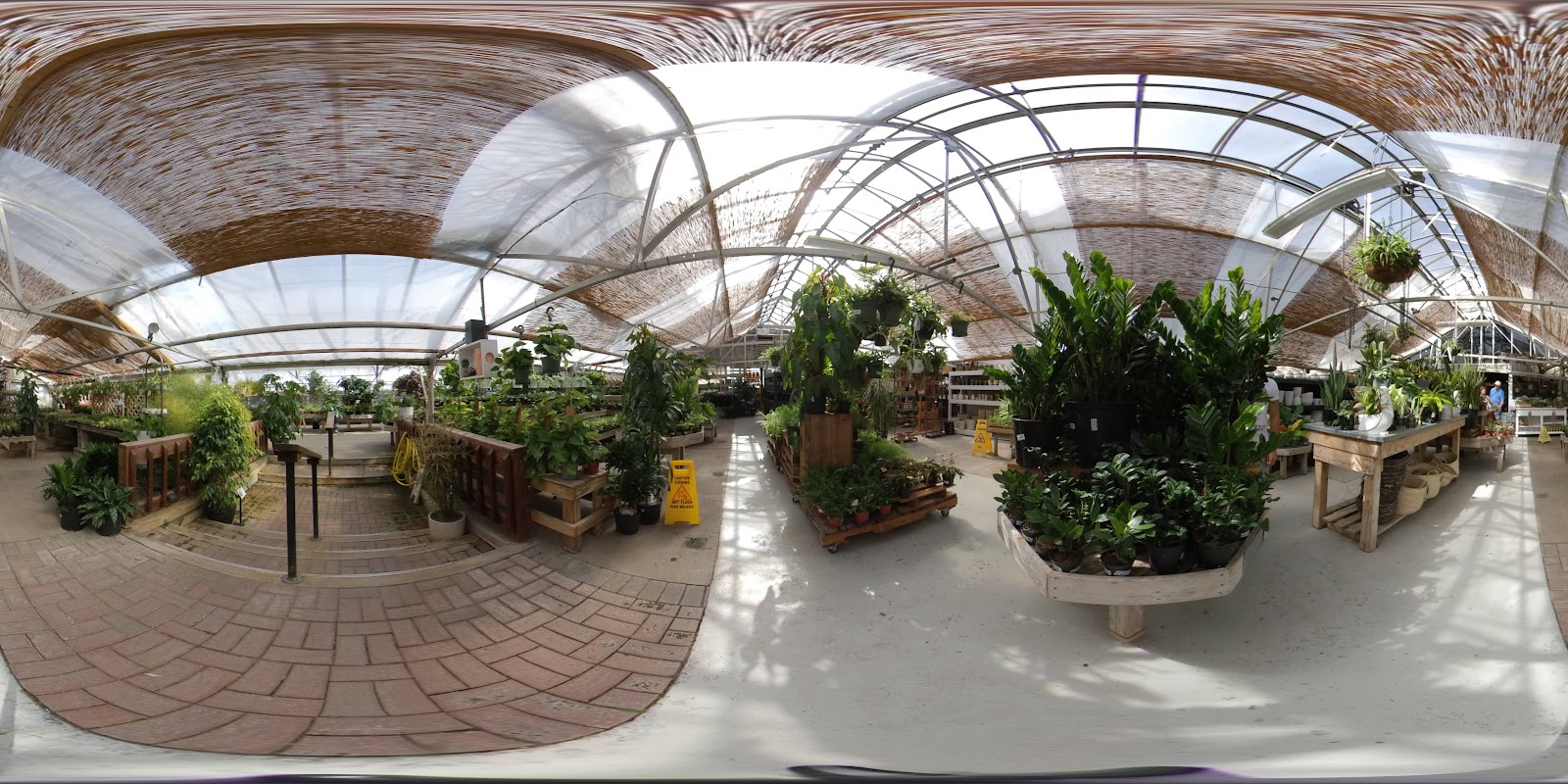 Faddegon's Nursery