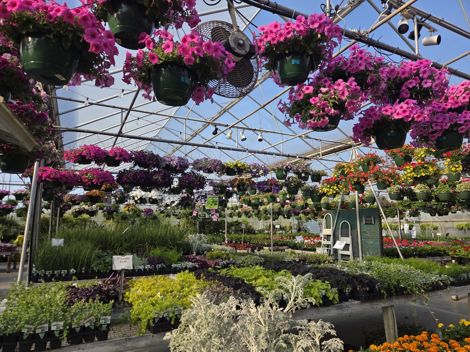 Family Roots Nursery