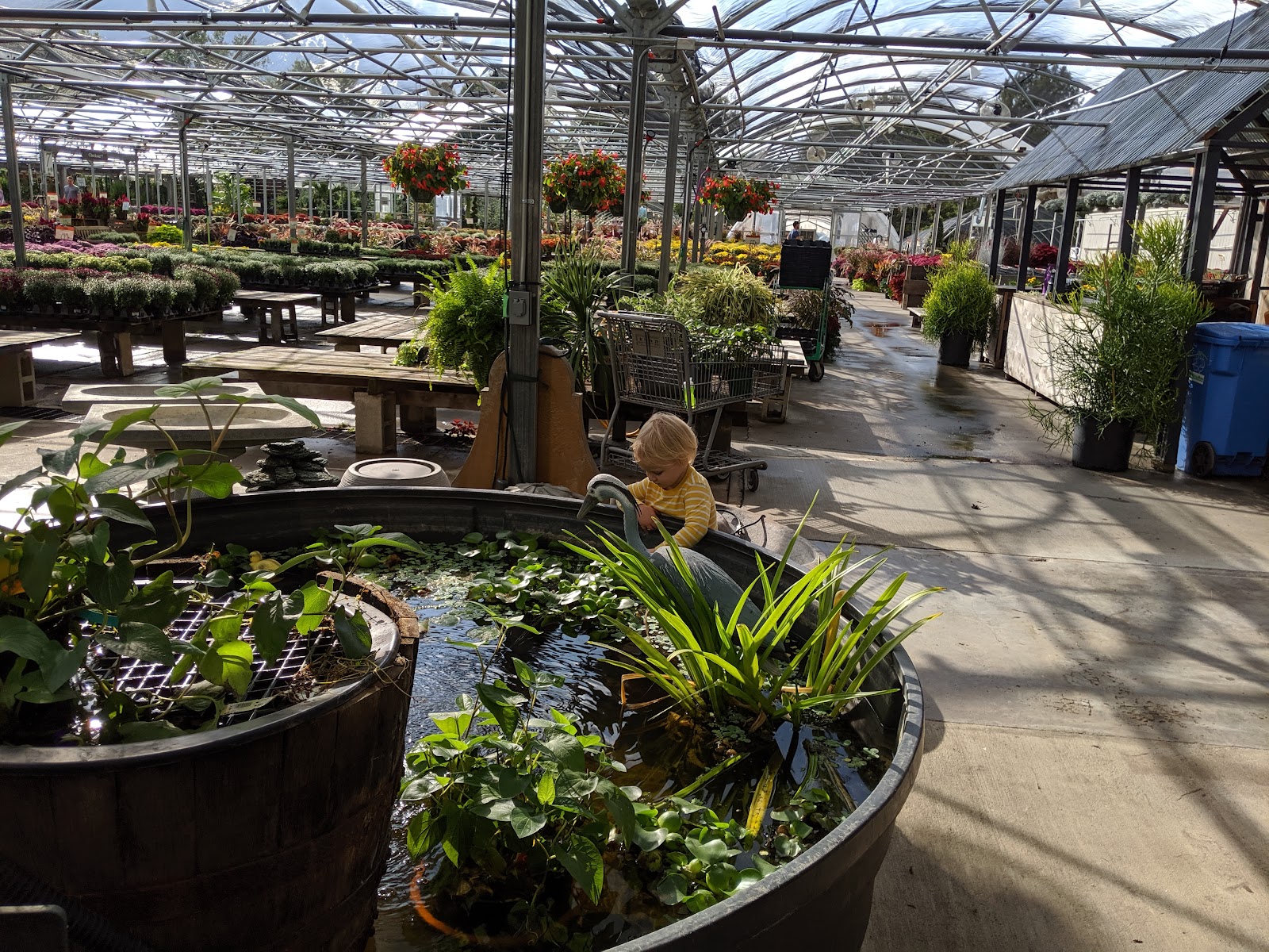 Family Tree Nursery