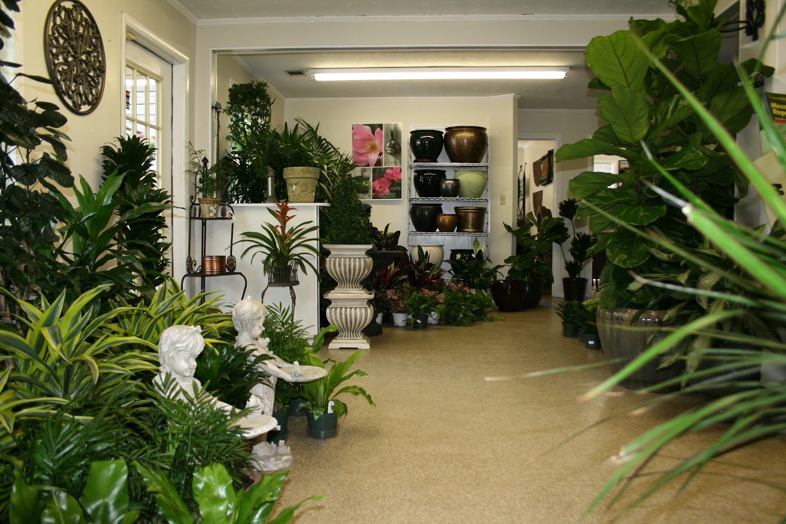 Fancy Plants Inc.