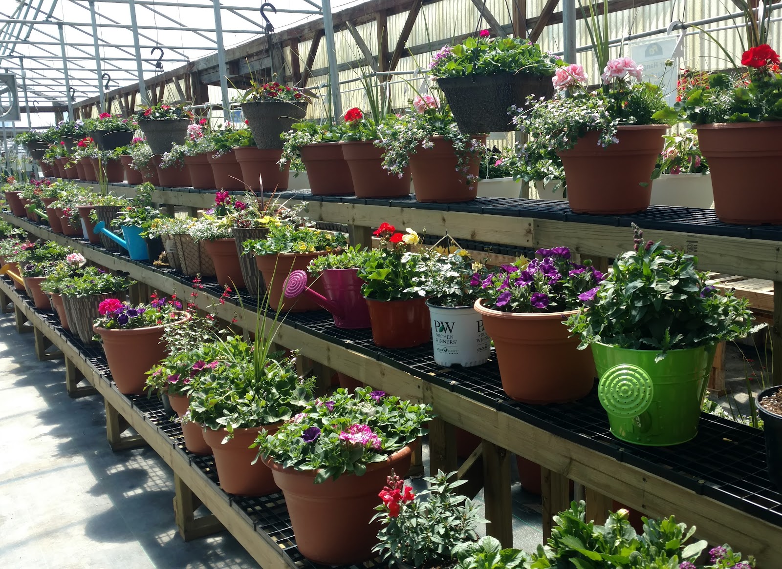 Farmer's Garden