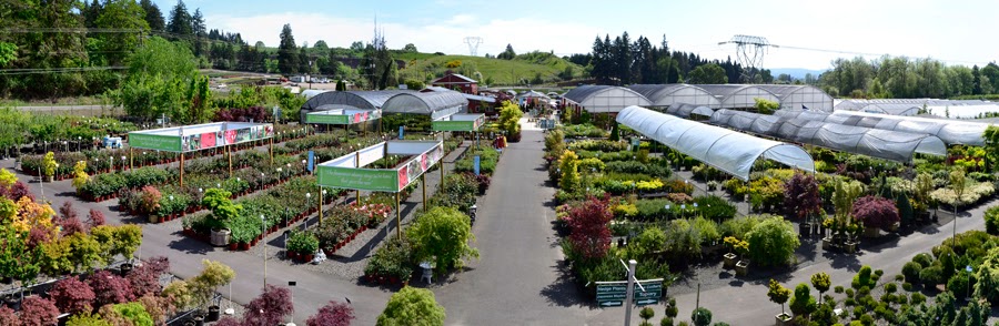 Farmington Gardens