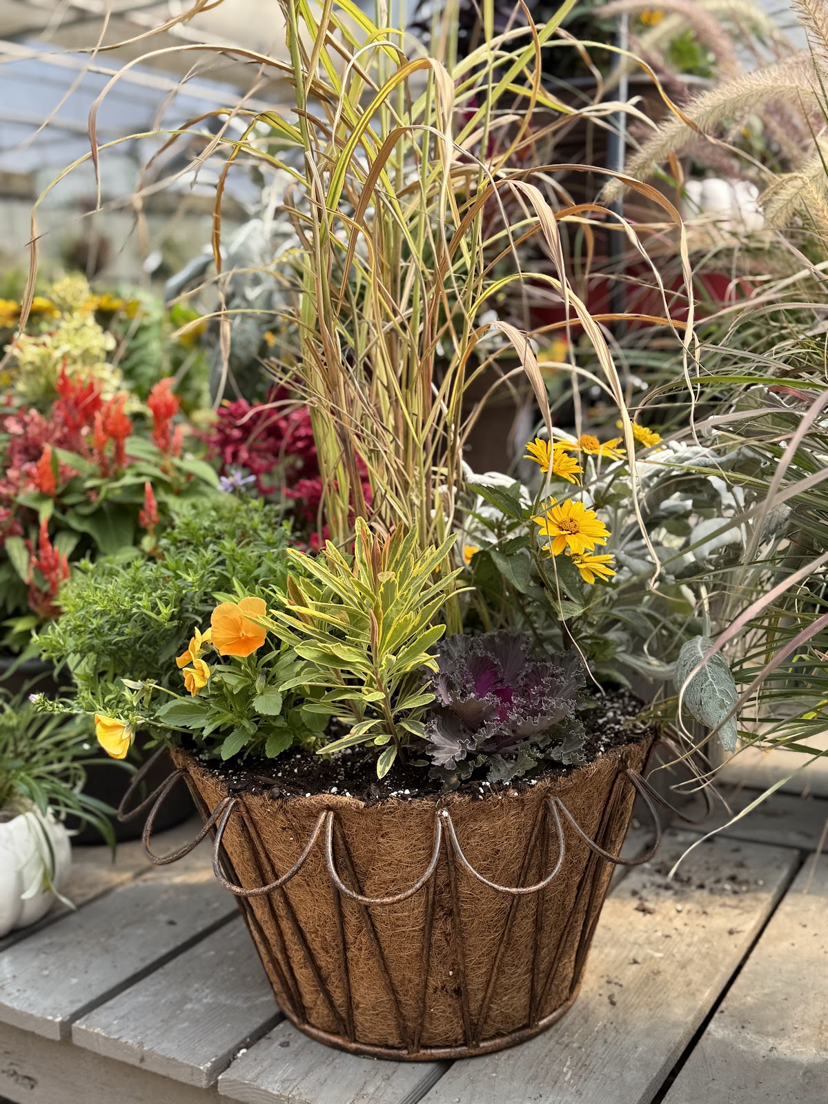 Farmington Greenhouse