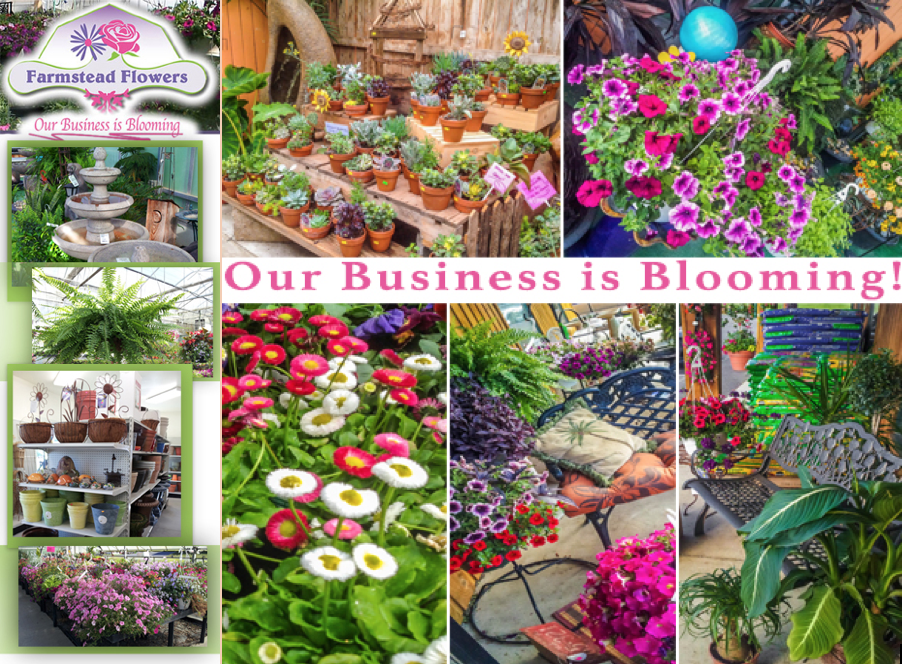 Farmstead Flowers