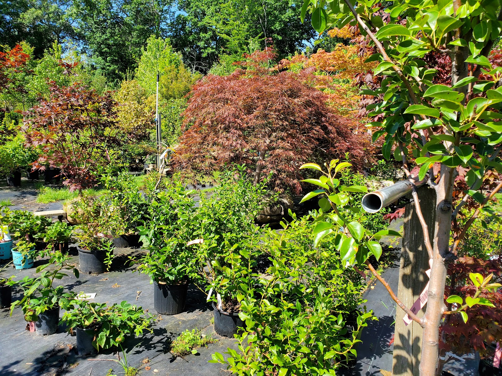 Faulkner's Landscaping & Nursery