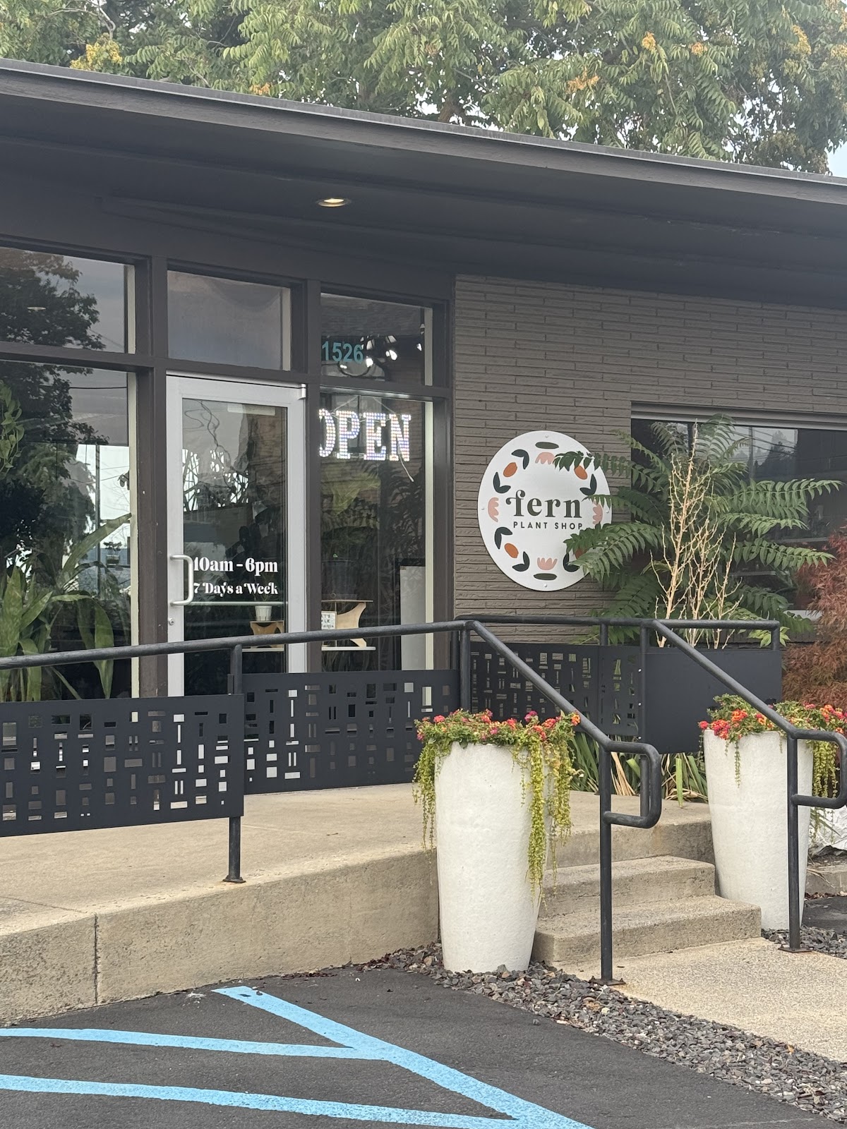 Fern Plant Shop