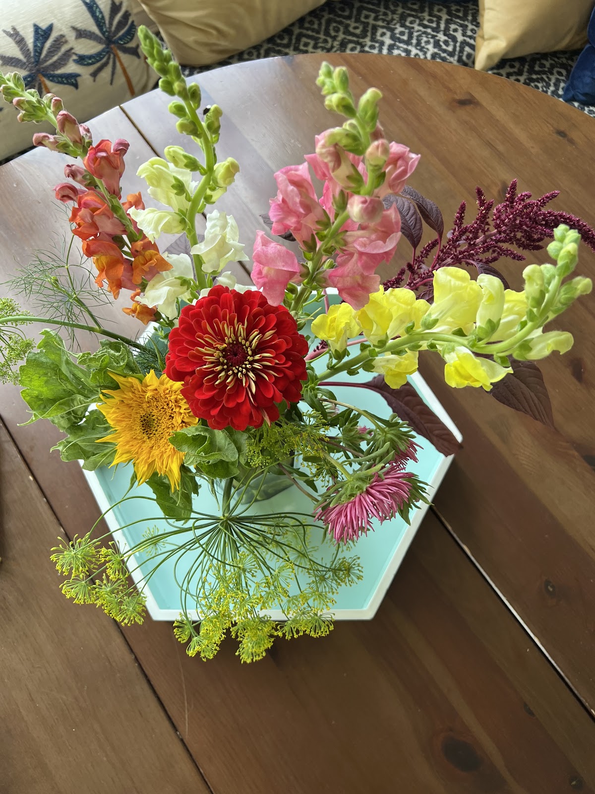 Fields Market Garden