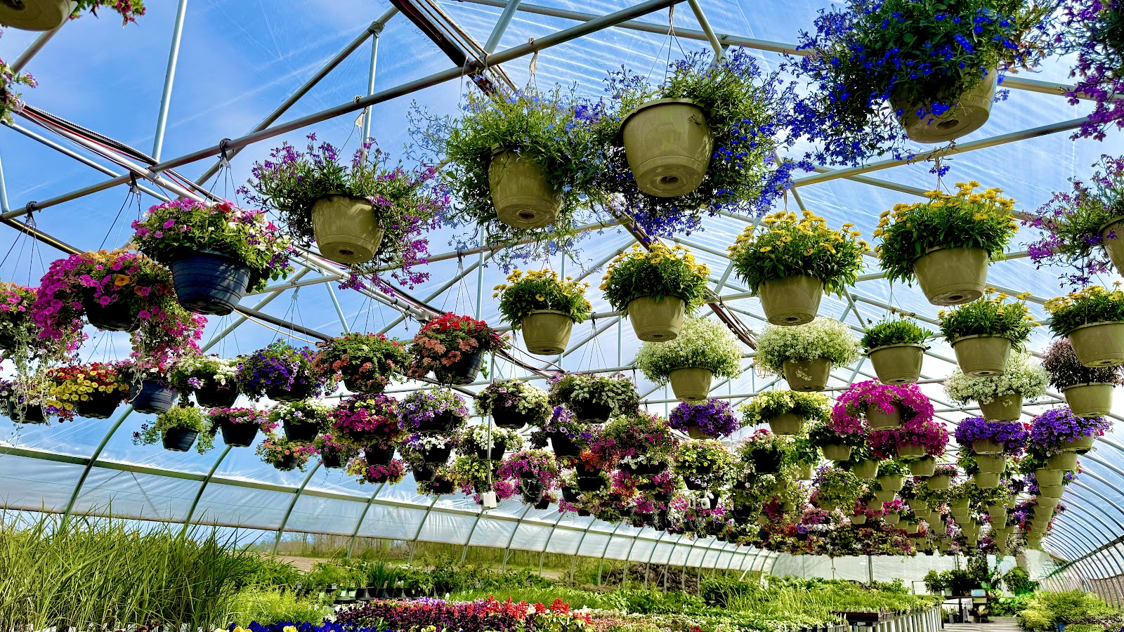 Fingerle Farms Greenhouse