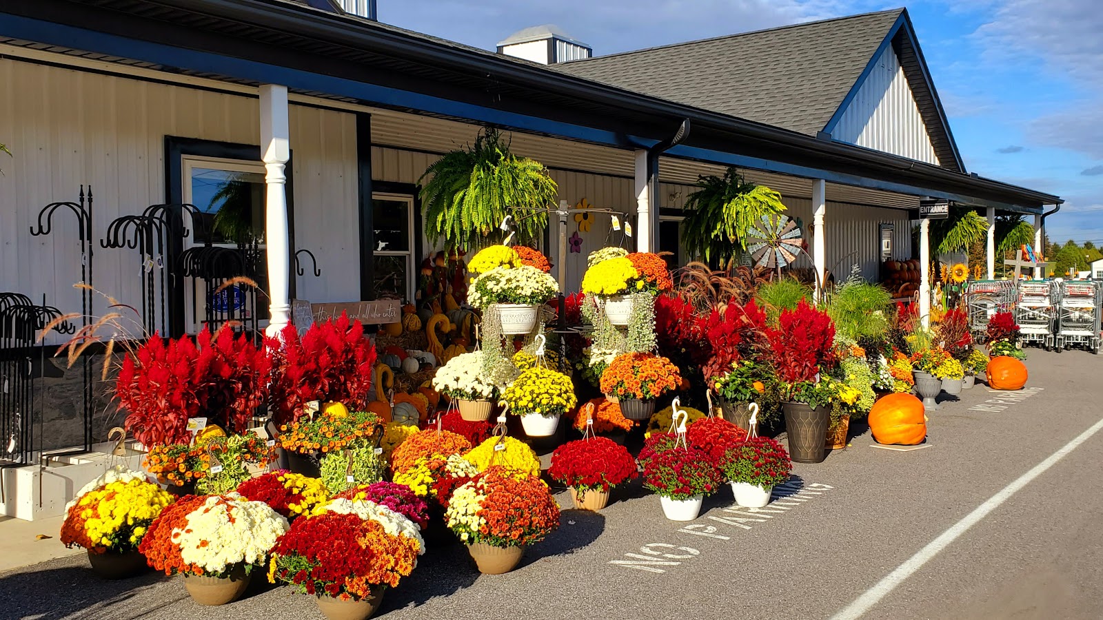 Fisher’s Greenhouse & Garden Center
