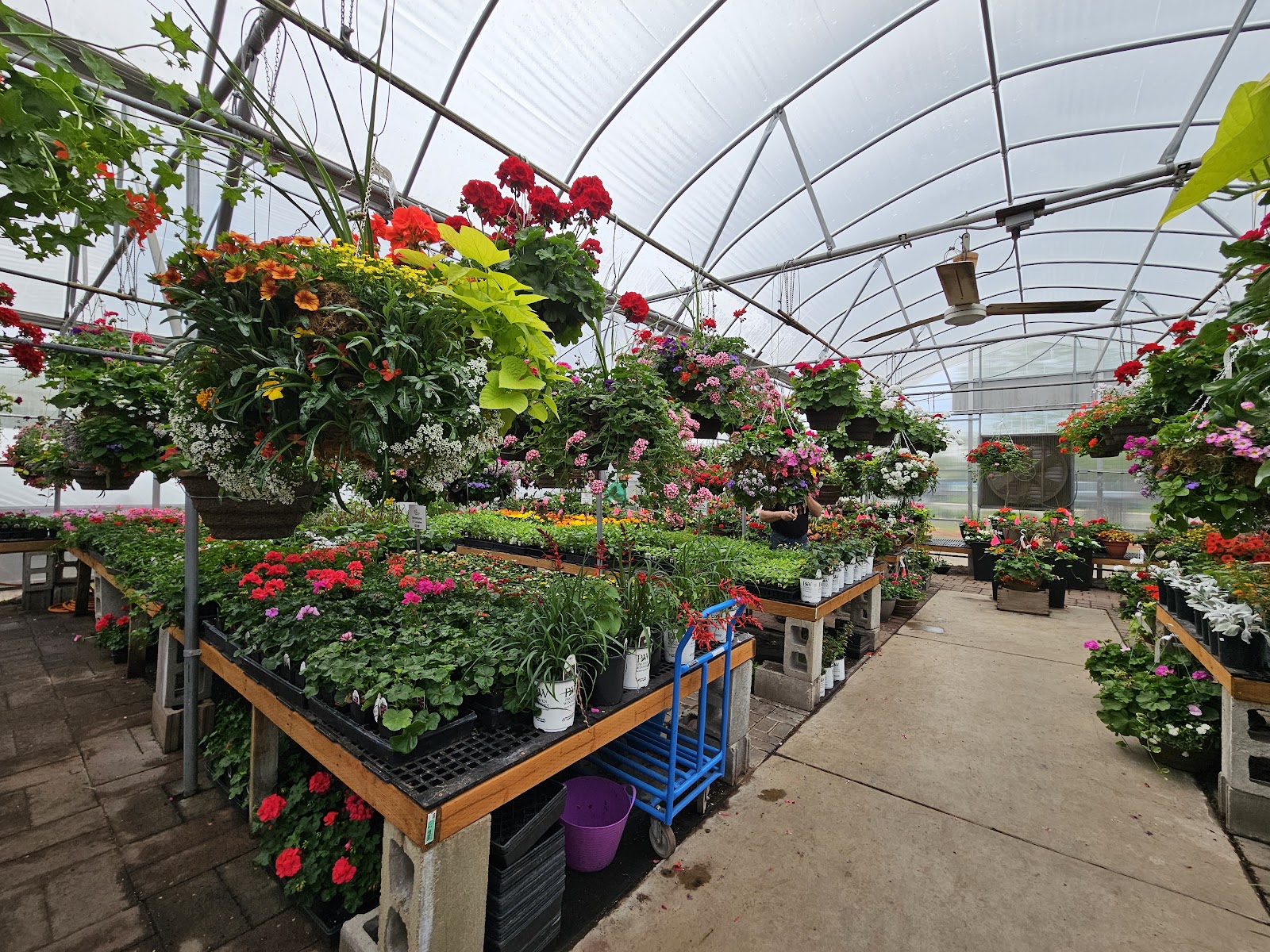 Five Mile Farm & Greenhouses
