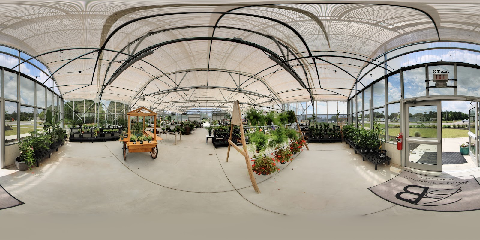 Five Oaks Nursery - Oleander
