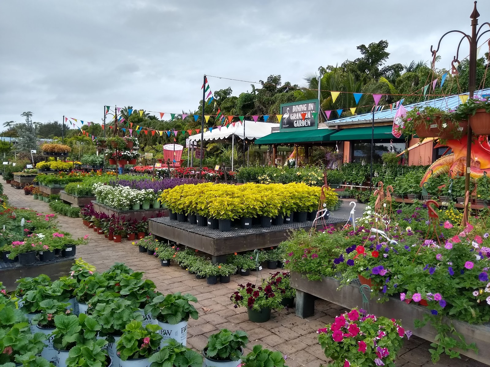 Flamingo Road Nursery