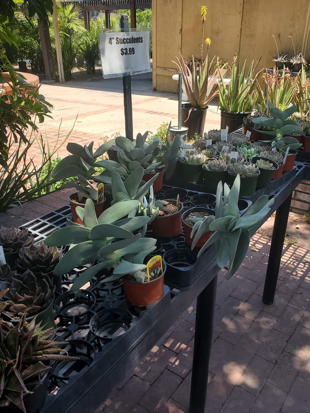 Flowerdale Nurseries