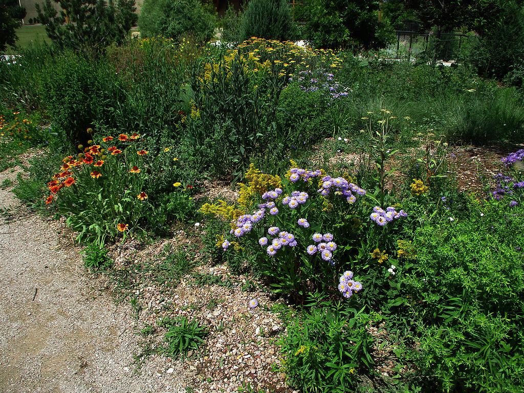 Foothills Garden