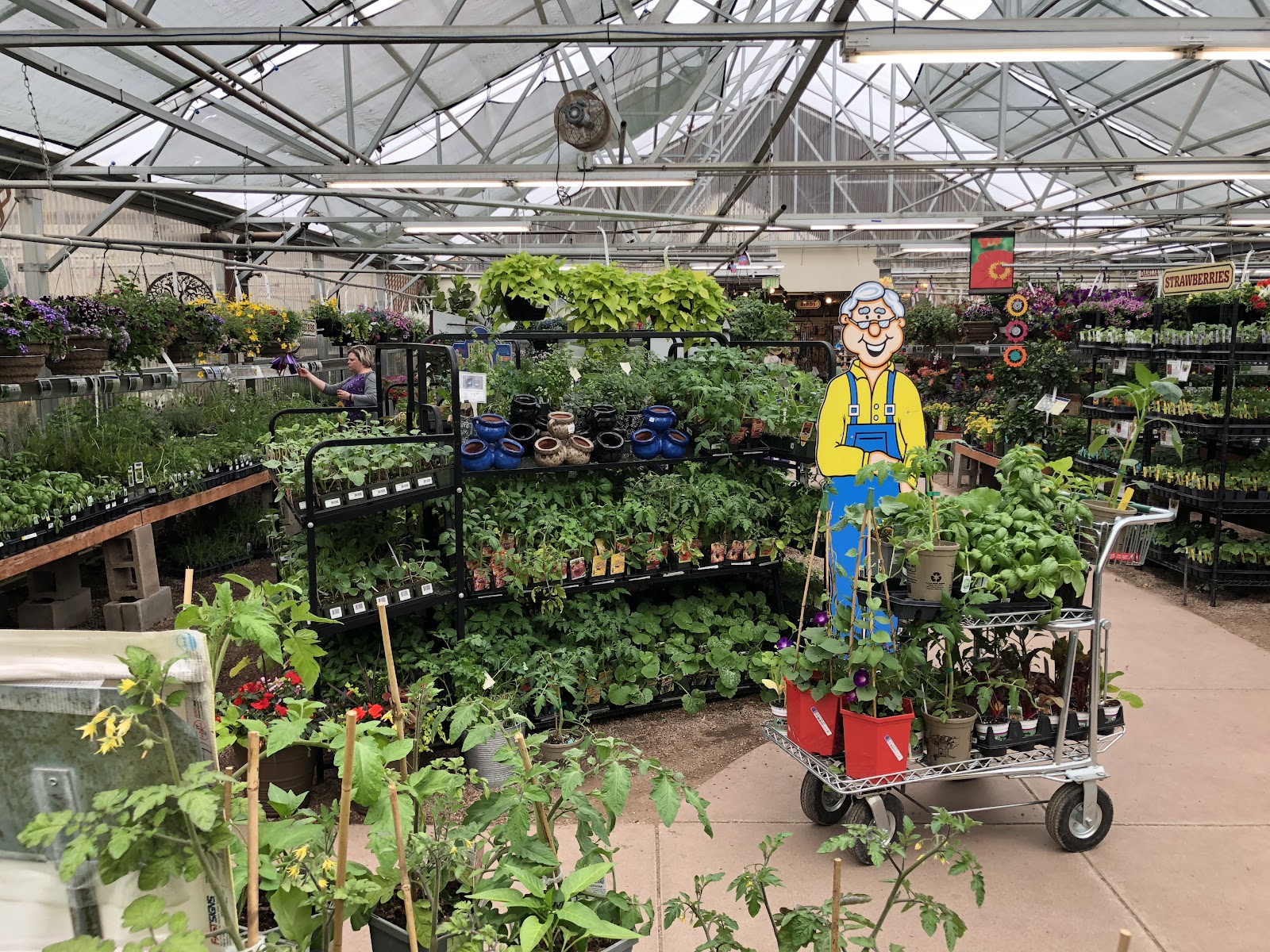 Fort Collins Nursery