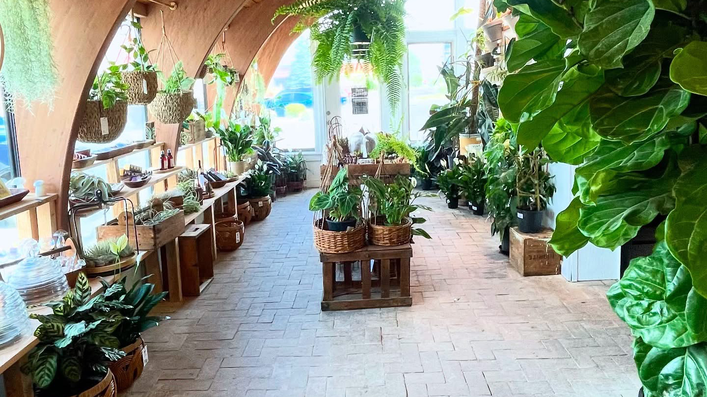Found Things Plant Shop