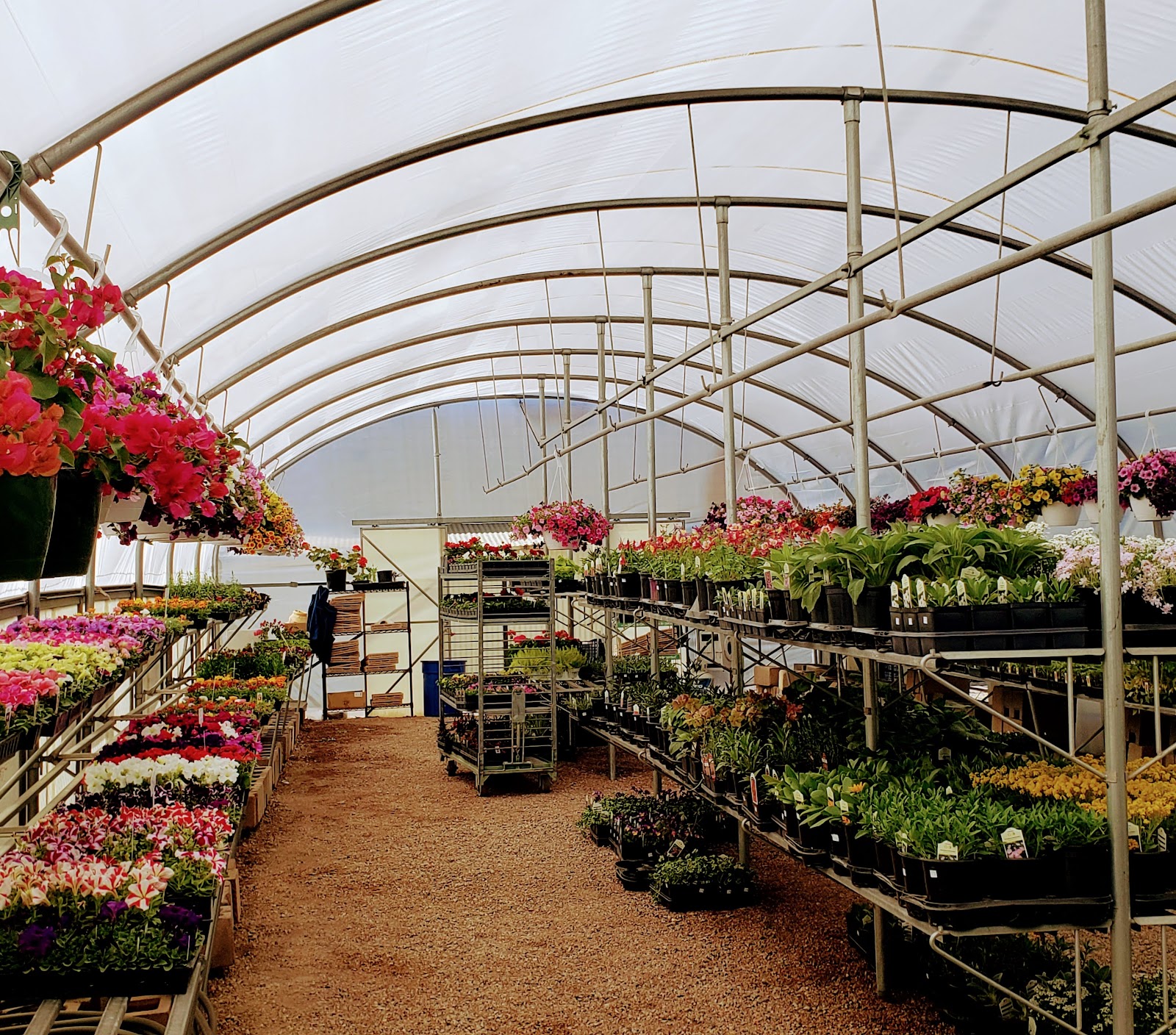 Fox's Garden Supply