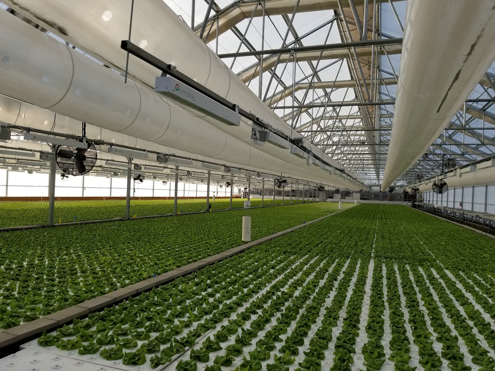 Fresh Farm Aquaponics