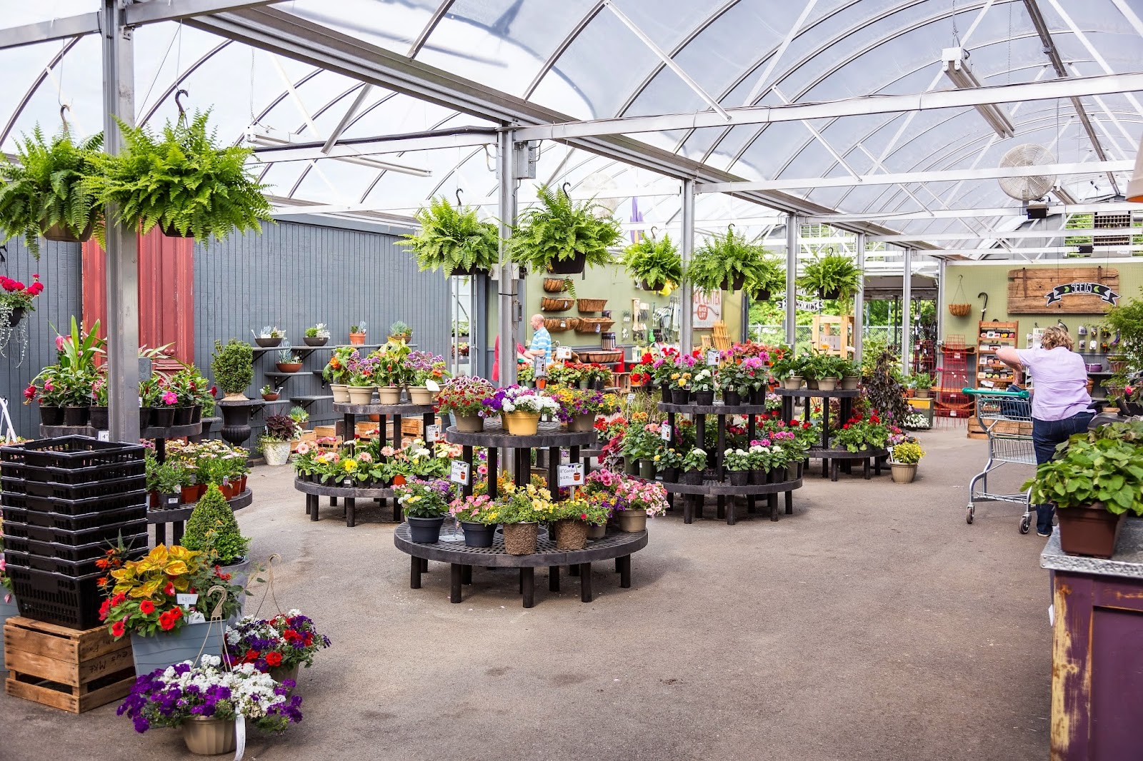 Frey's Greenhouse