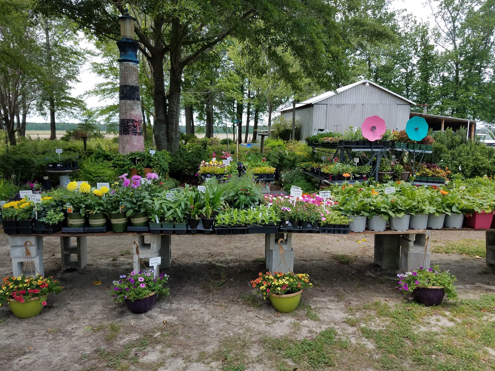 Friendly Nursery