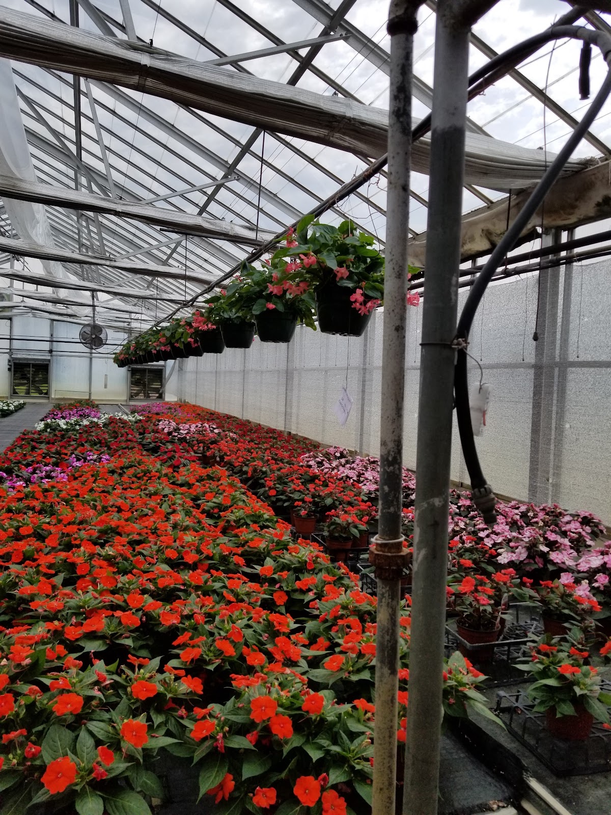 G & E Greenhouses Inc