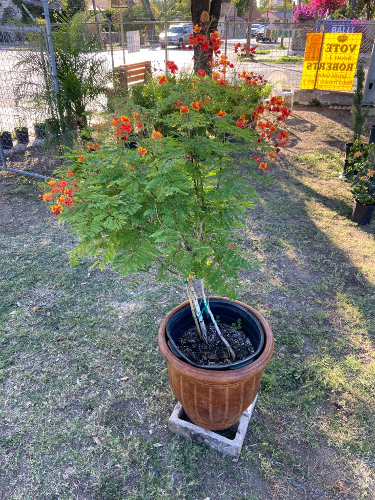 G & G Garden Center
