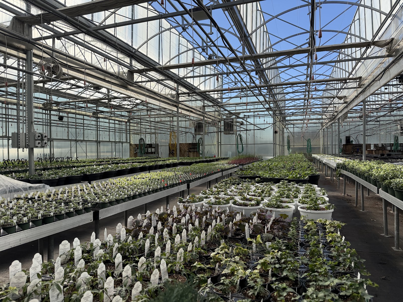 G.Norwood Landscape & Garden Center