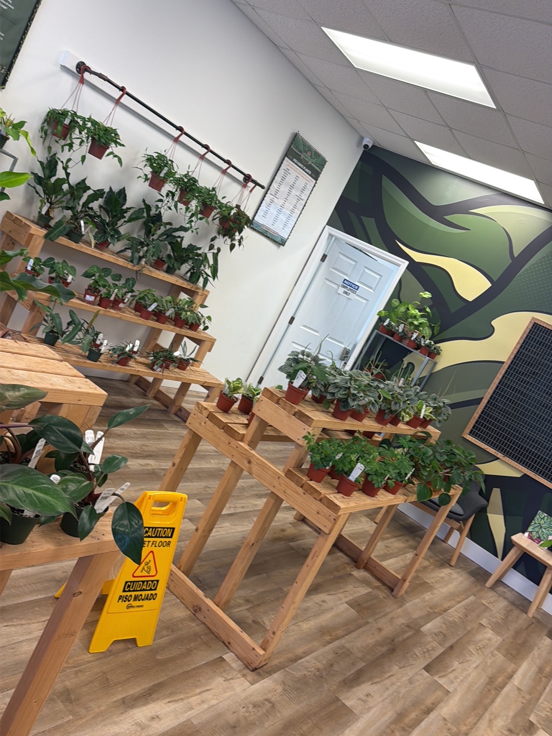 Gabriella Plants Shop (Retail Store)
