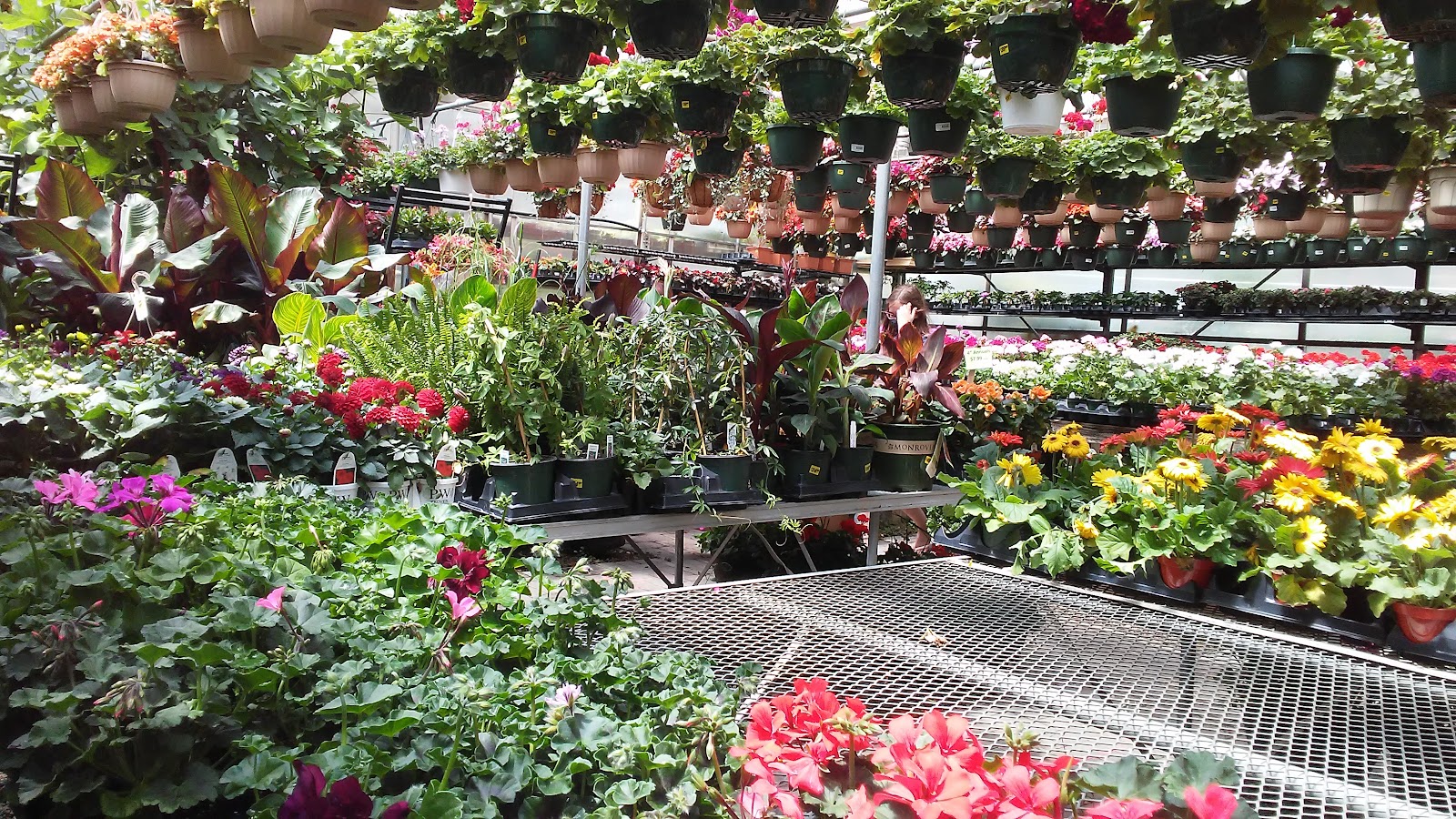Ganim's Garden Center and Florist, LLC