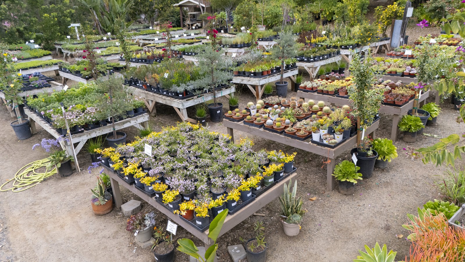 Ganter Nursery