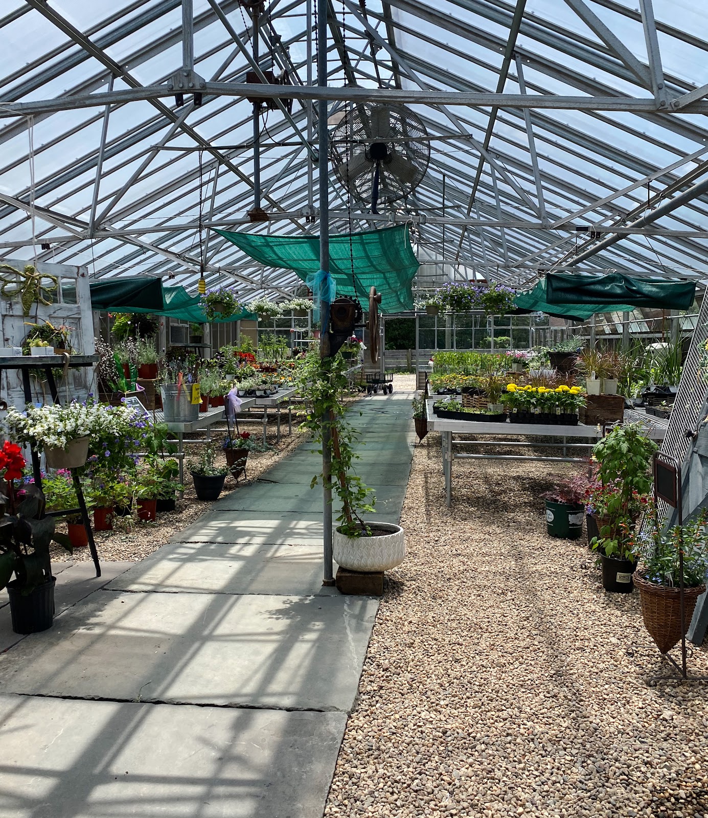 Garden at Pinehurst Farm